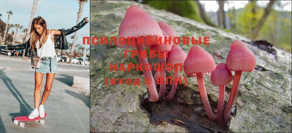 мяу мяу мука Алексин