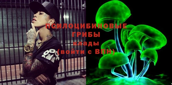 альфа пвп Алексеевка
