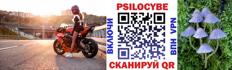 Псилоцибиновые грибы мухоморы MEGA зеркало Кемерово сколько стоит